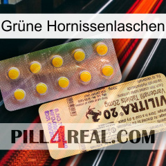 Grüne Hornissenlaschen new06
